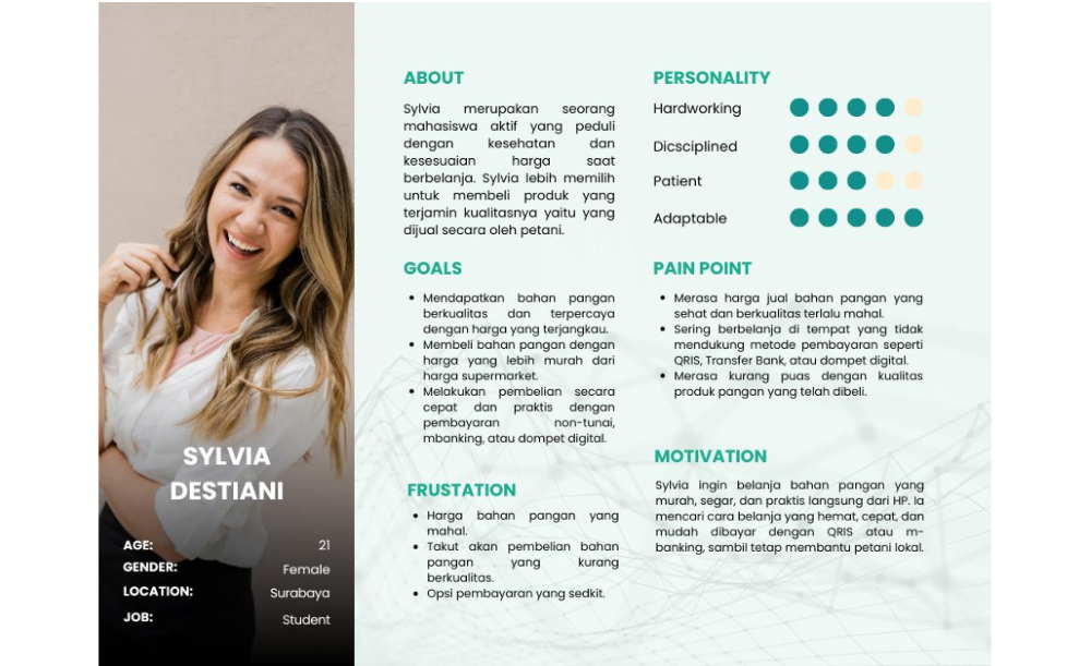 User persona